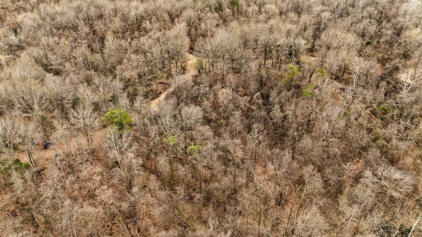 Nestled in the rolling hills of Warren County, Mississippi, this - photo 48