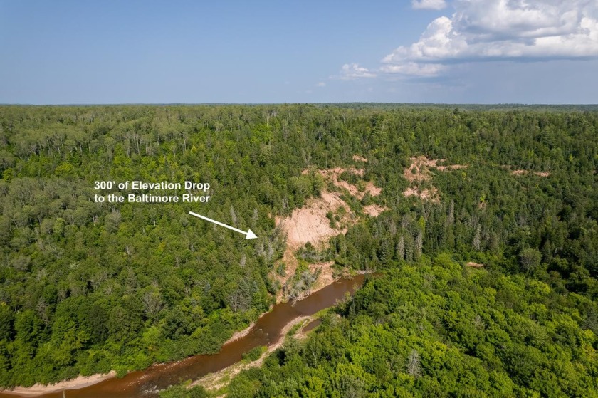 208 ACRES &amp; 2300' FRTG on Baltimore River!  SOLD - photo 11