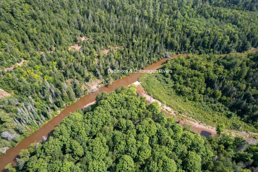 208 ACRES &amp; 2300' FRTG on Baltimore River!  SOLD - photo 12