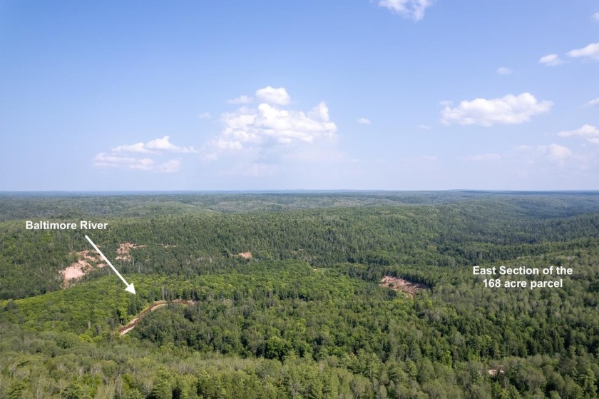 208 ACRES &amp; 2300' FRTG on Baltimore River!  SOLD - photo 13