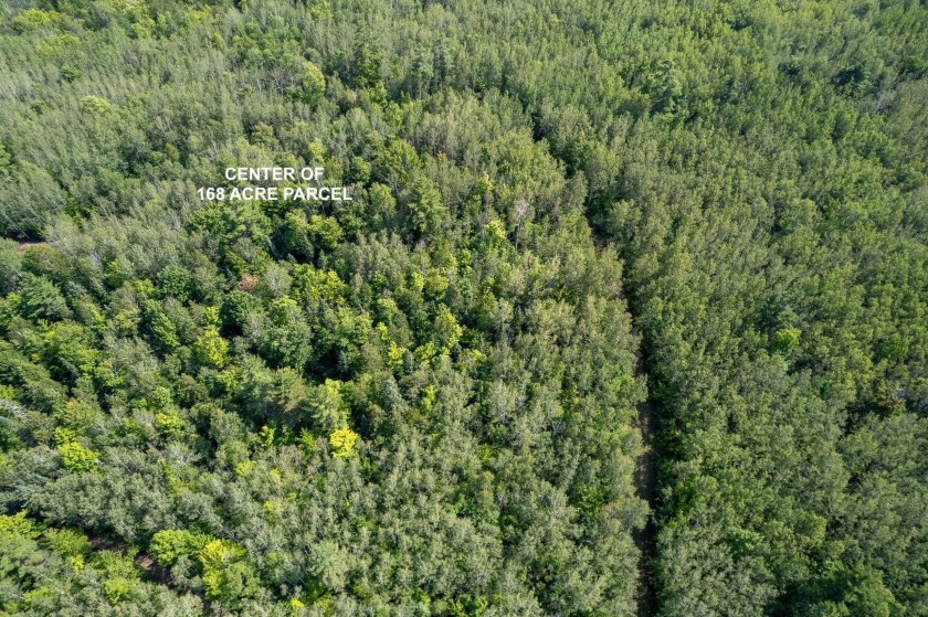 208 ACRES &amp; 2300' FRTG on Baltimore River!  SOLD - photo 14