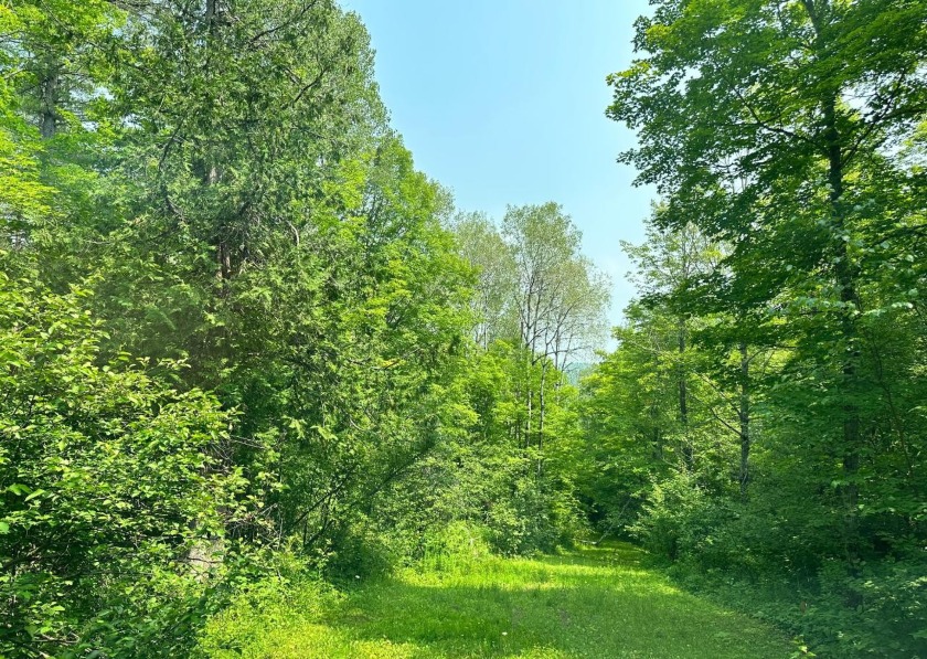 208 ACRES &amp; 2300' FRTG on Baltimore River!  SOLD - photo 15