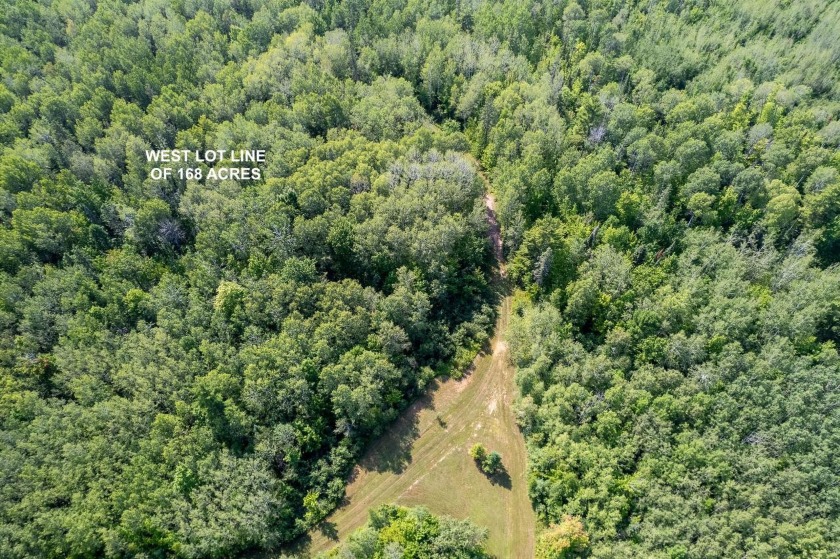208 ACRES &amp; 2300' FRTG on Baltimore River!  SOLD - photo 16