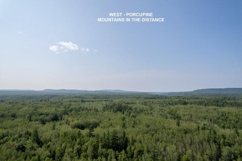 208 ACRES &amp; 2300' FRTG on Baltimore River!  SOLD - photo 17
