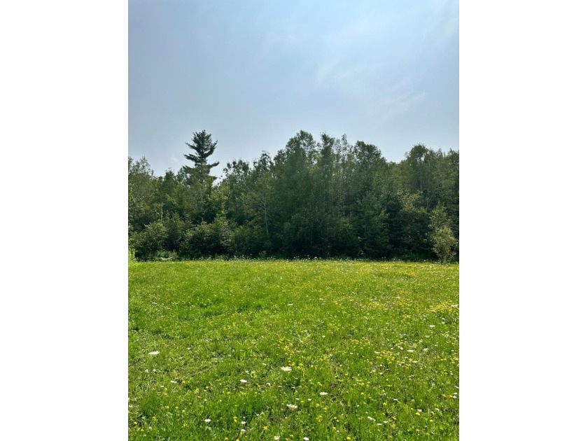 208 ACRES &amp; 2300' FRTG on Baltimore River!  SOLD - photo 18