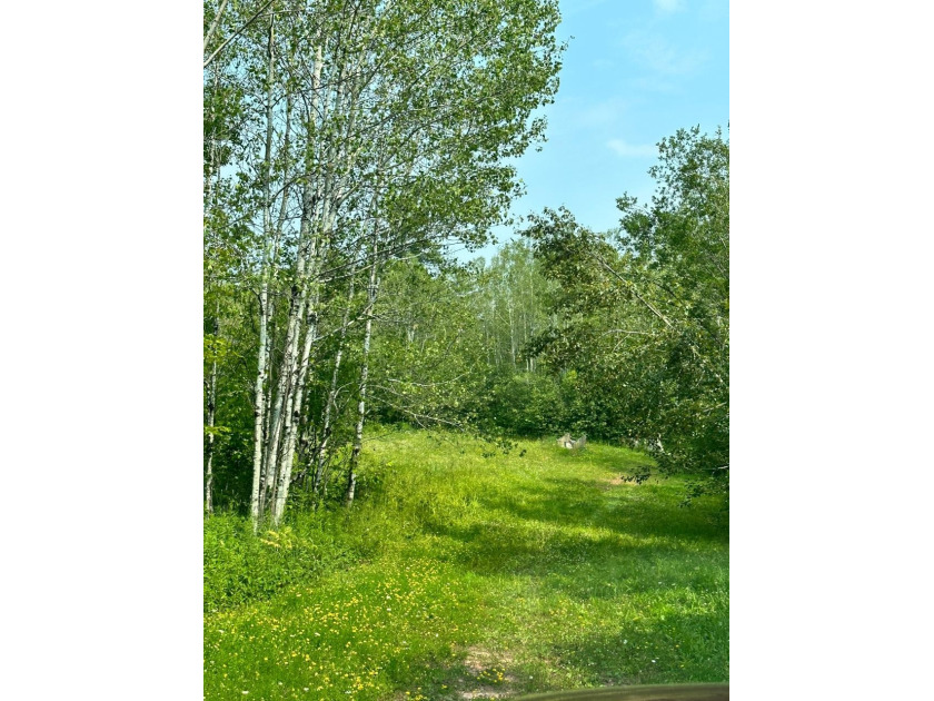 208 ACRES &amp; 2300' FRTG on Baltimore River!  SOLD - photo 20