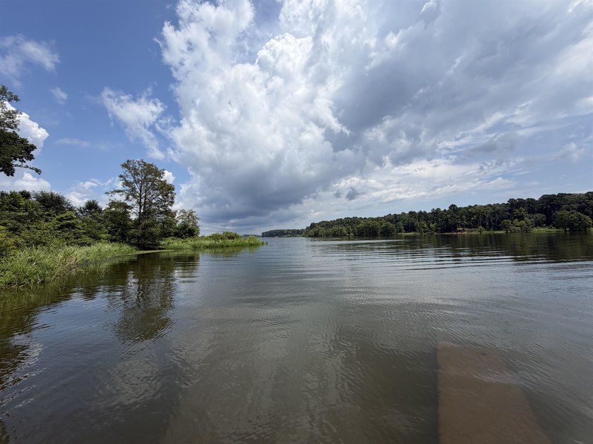Escape to peaceful East Texas living in this charming 3-bedroom - photo 20