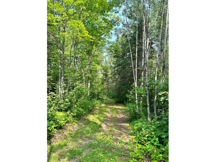 208 ACRES &amp; 2300' FRTG on Baltimore River!  SOLD - photo 21