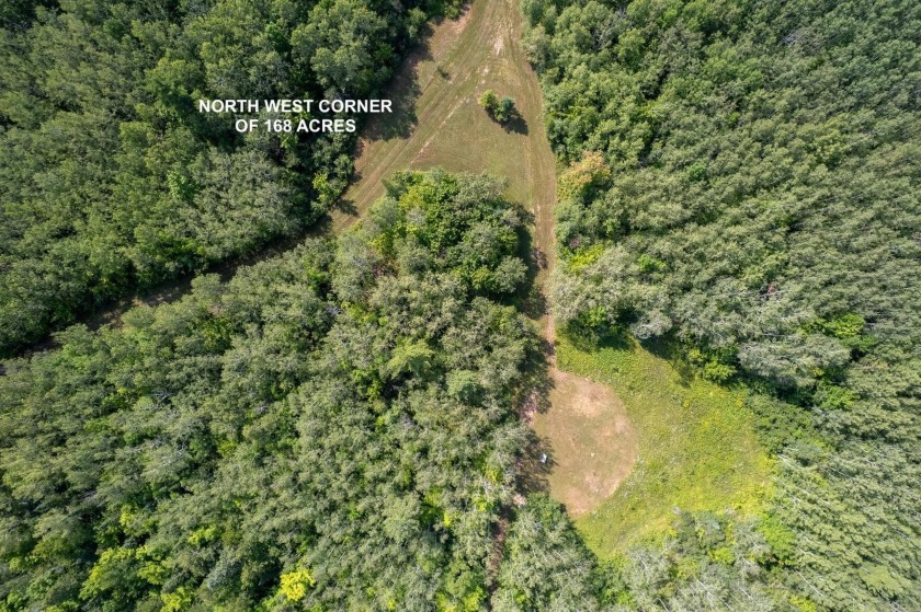 208 ACRES &amp; 2300' FRTG on Baltimore River!  SOLD - photo 23