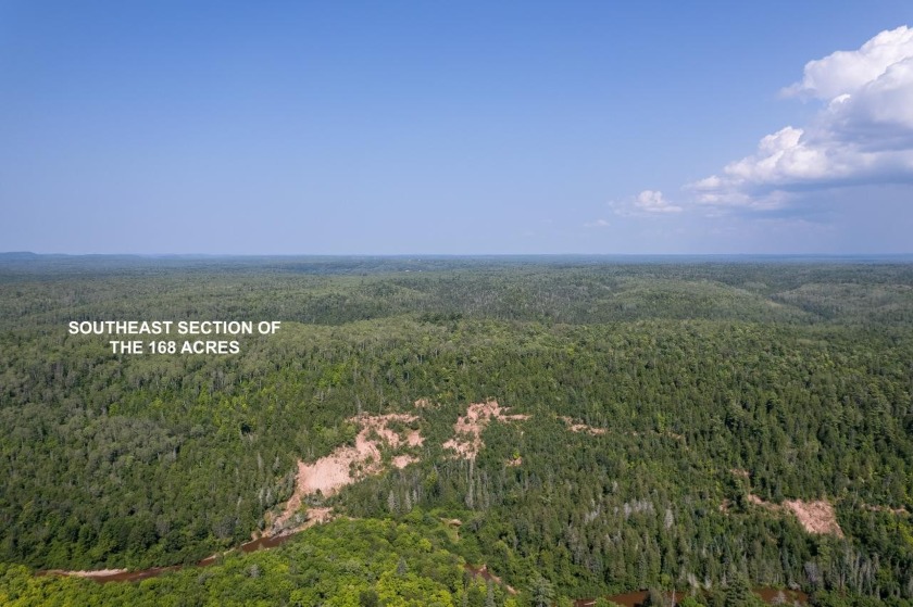 208 ACRES &amp; 2300' FRTG on Baltimore River!  SOLD - photo 26