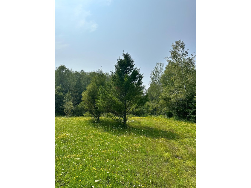 208 ACRES &amp; 2300' FRTG on Baltimore River!  SOLD - photo 28