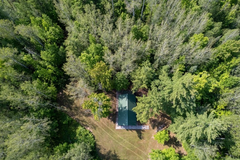 208 ACRES &amp; 2300' FRTG on Baltimore River!  SOLD - photo 39