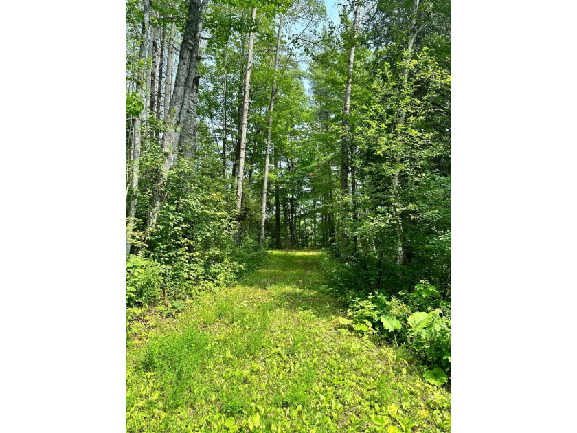 208 ACRES &amp; 2300' FRTG on Baltimore River!  SOLD - photo 40