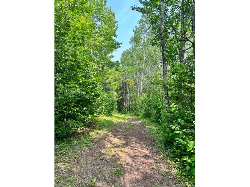 208 ACRES &amp; 2300' FRTG on Baltimore River!  SOLD - photo 41