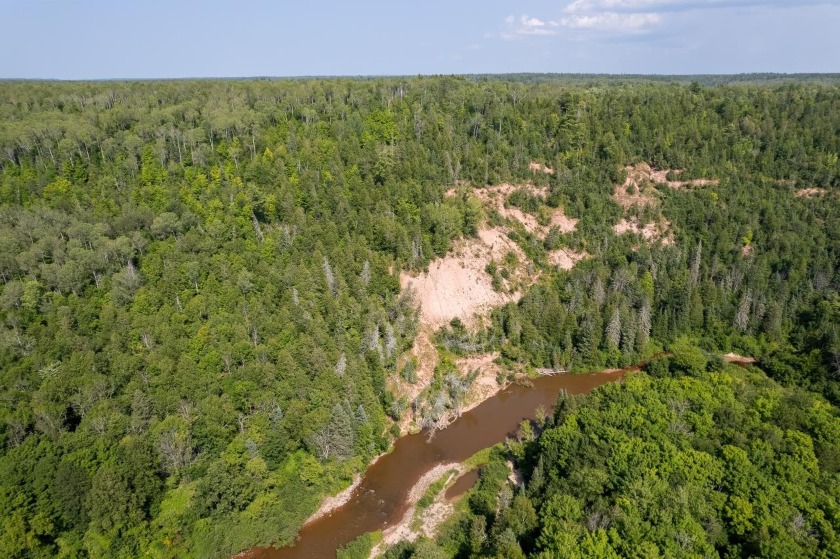 208 ACRES &amp; 2300' FRTG on Baltimore River!  SOLD - photo 43