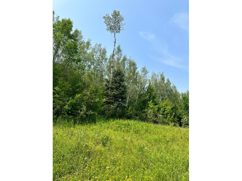 208 ACRES &amp; 2300' FRTG on Baltimore River!  SOLD - photo 45