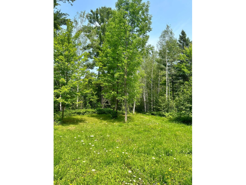 208 ACRES &amp; 2300' FRTG on Baltimore River!  SOLD - photo 46