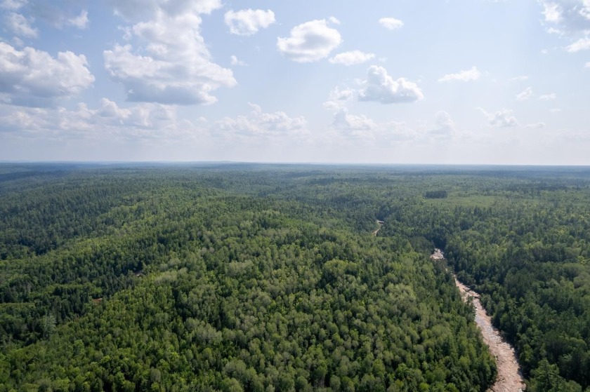 208 ACRES &amp; 2300' FRTG on Baltimore River!  SOLD - photo 48
