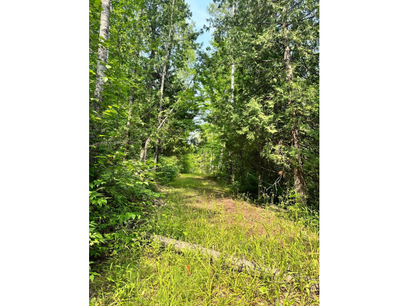 208 ACRES &amp; 2300' FRTG on Baltimore River!  SOLD - photo 50