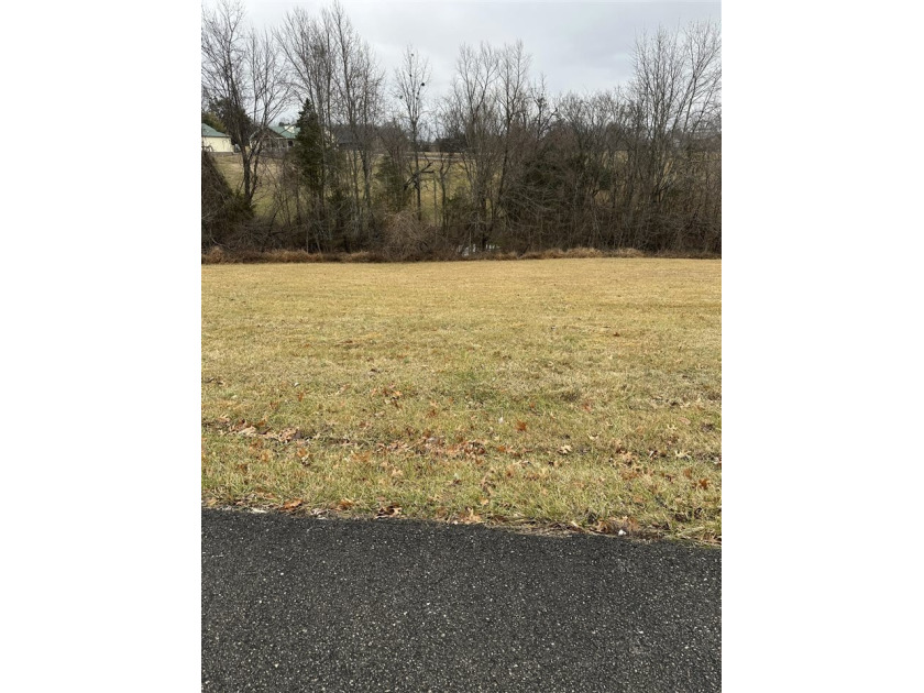 3 Lots in Indian Point subdivision right along Barren River Lake - photo 3