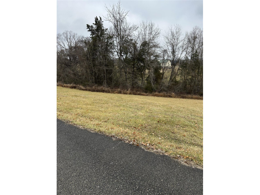 3 Lots in Indian Point subdivision right along Barren River Lake - photo 4