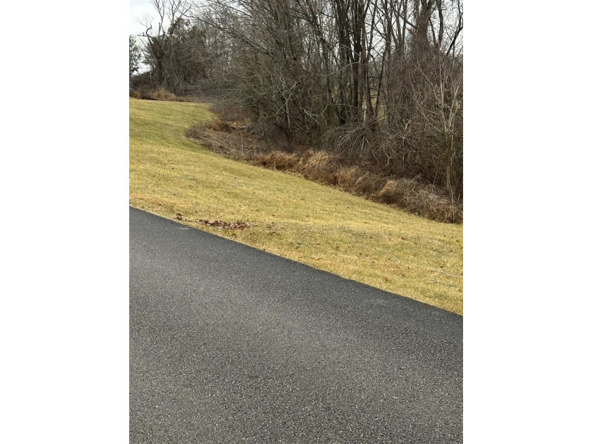 3 Lots in Indian Point subdivision right along Barren River Lake - photo 5