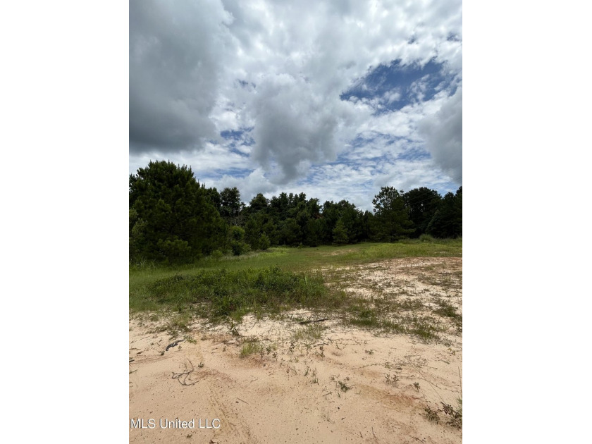 Looking for land to build that new home! Mobile homes are also - photo 2