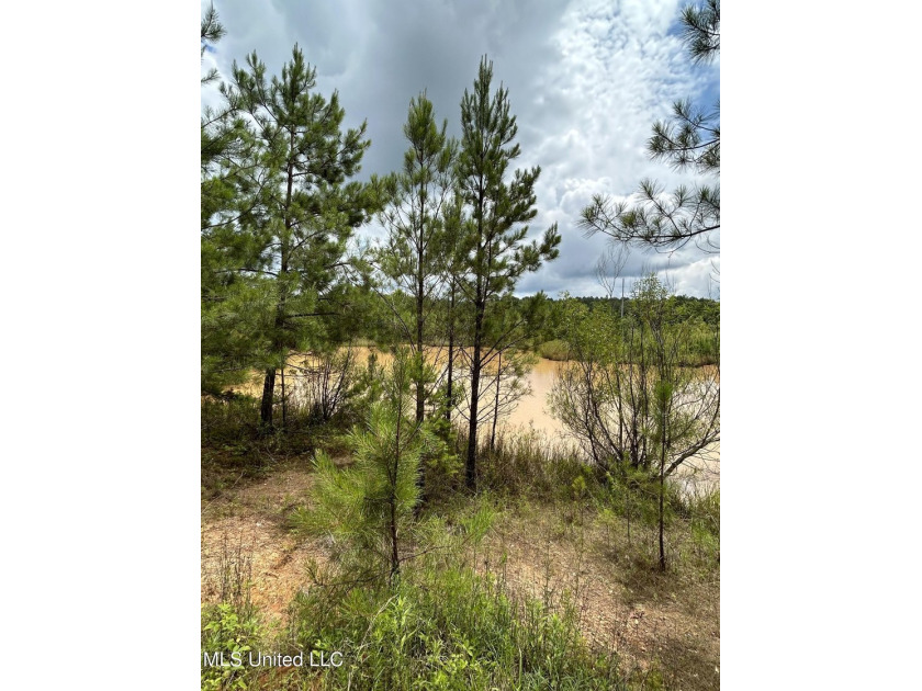 Looking for land to build that new home! Mobile homes are also - photo 3
