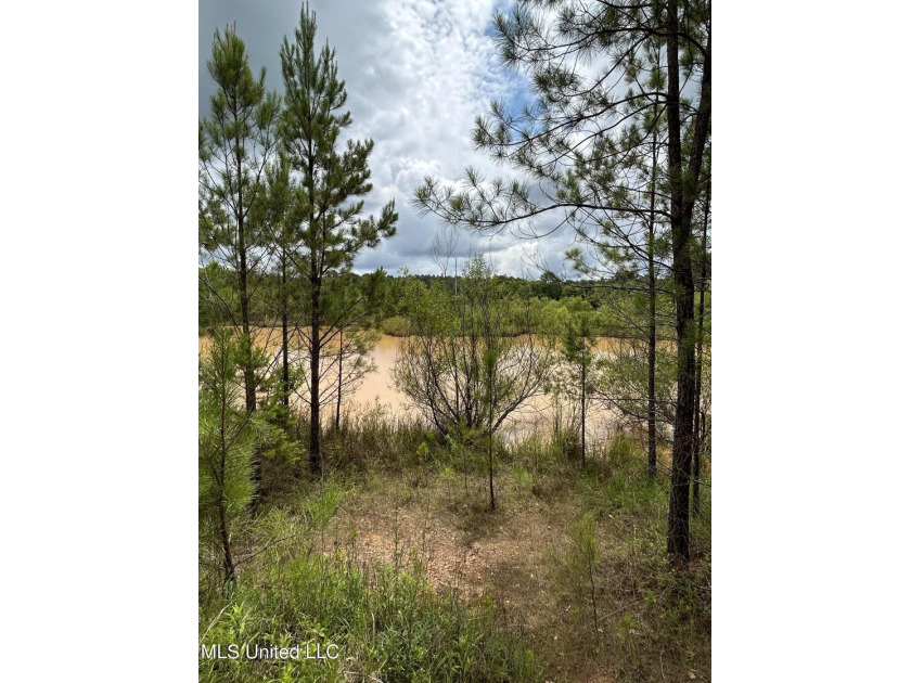 Looking for land to build that new home! Mobile homes are also - photo 4