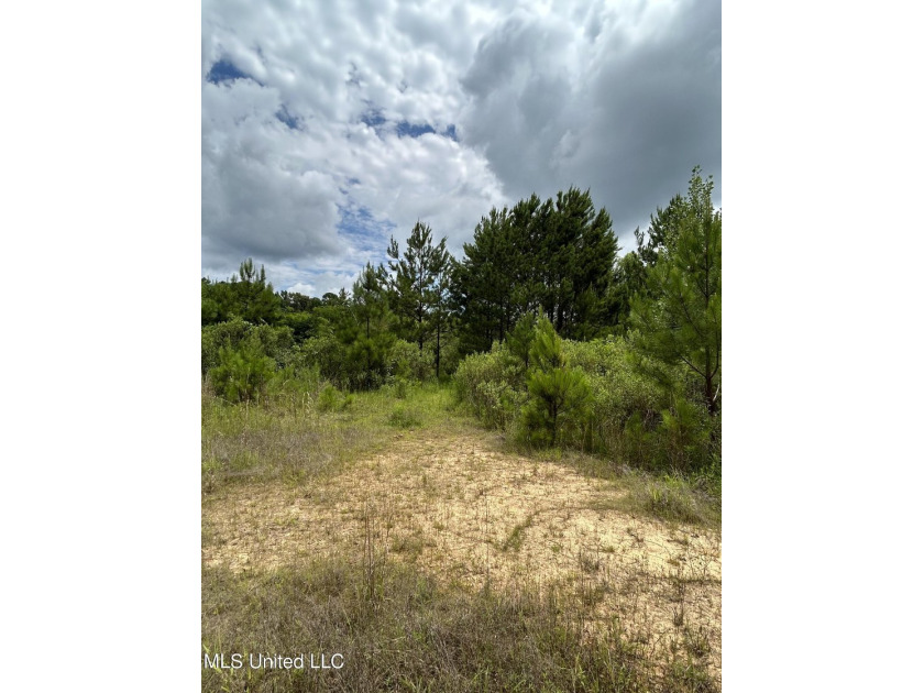 Looking for land to build that new home! Mobile homes are also - photo 5