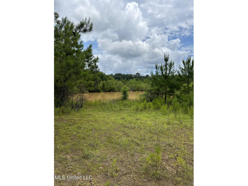 Looking for land to build that new home! Mobile homes are also - photo 10