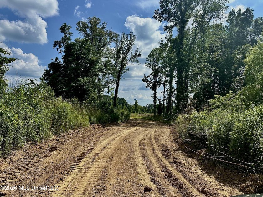 Whitetail Deer and Turnkey hunting, fishing, and timber - photo 7