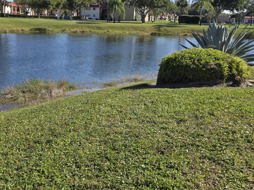 THIS IS PHASE B &amp; A SMALL DOG ALLOWED. THIS SPACIOUS VILLA HAS - photo 2