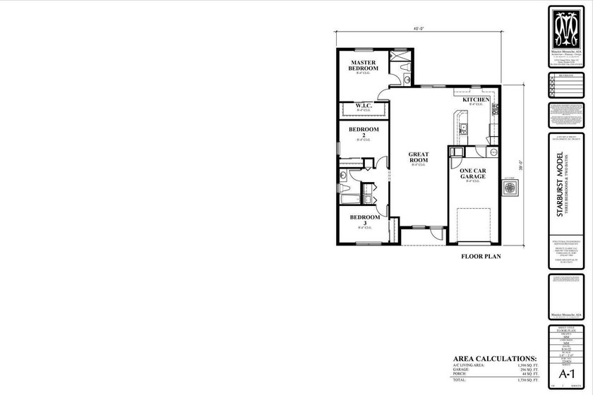 :Introducing the Starburst Model at Oaks at Moore's Creek Phase - photo 2
