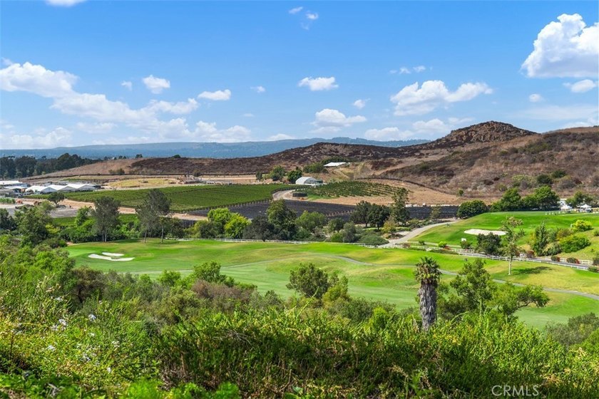Million-Dollar Forever Views! Spectacular panoramic golf course - photo 3