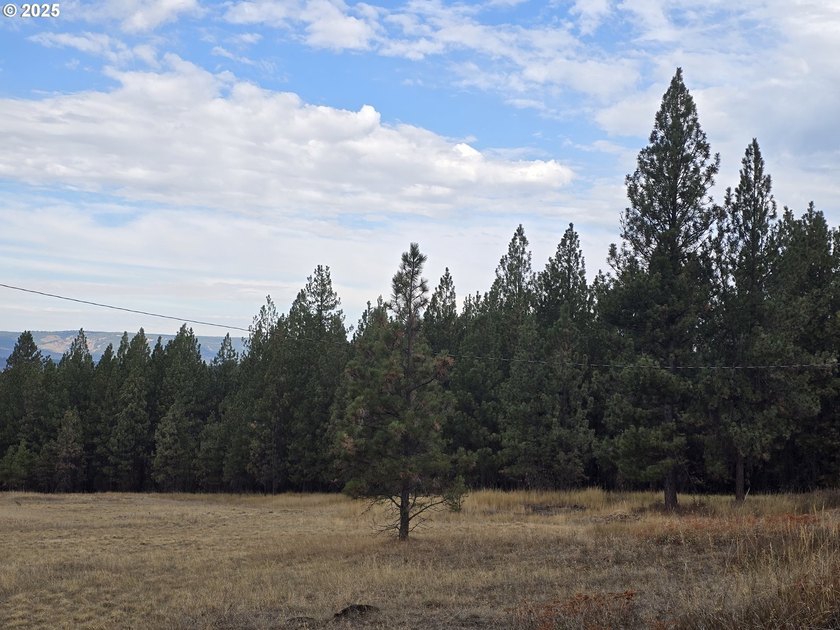 This is the Recreational property you have been waiting for!! - photo 11