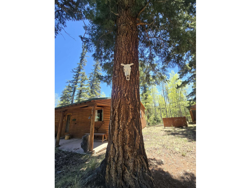 Tucked away in the peaceful mountain community of Valle - photo 42