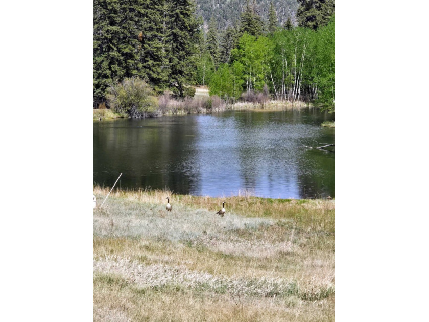Tucked away in the peaceful mountain community of Valle - photo 46