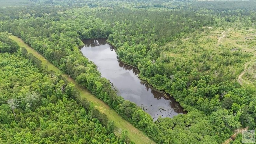 268 acres of pure East Texas wild - this is the legendary Richey - photo 22