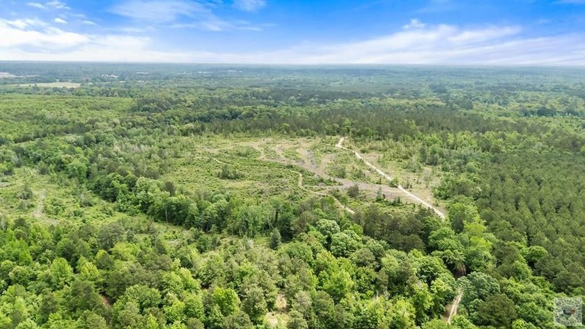268 acres of pure East Texas wild - this is the legendary Richey - photo 31