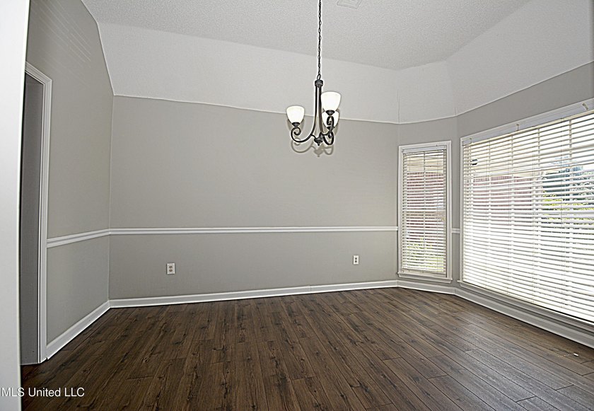 Beautiful and Open in an established Olive Branch Subdivision is - photo 13