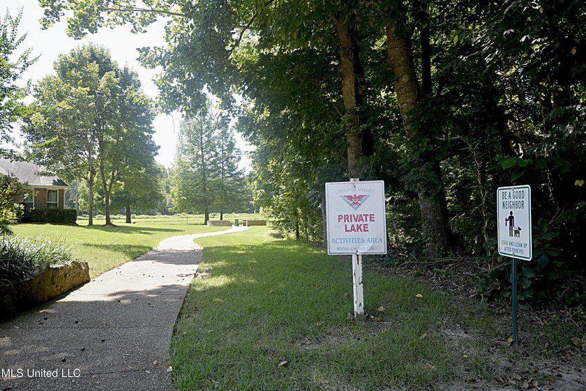 Beautiful and Open in an established Olive Branch Subdivision is - photo 39
