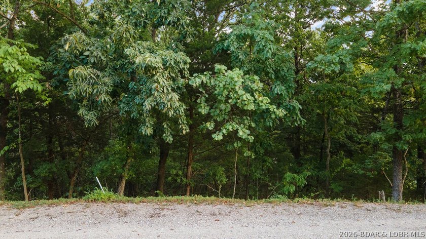 Prime Building Lot in Lake of the Ozarks! Situated just off - photo 17