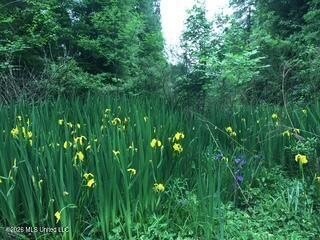 Price reduced due to separating the additional commercial lot - photo 41