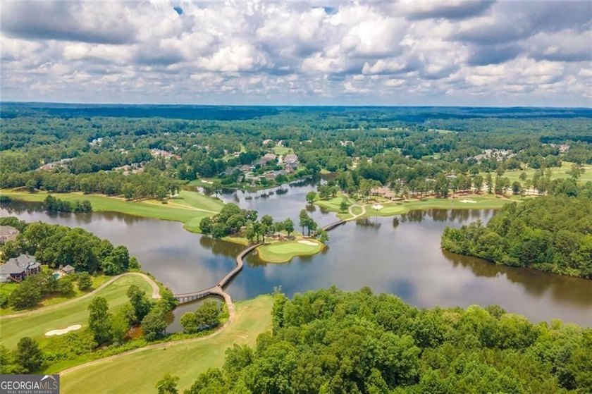 Welcome to 1011 Chestnut Creek Drive in the highly sought-after - photo 49