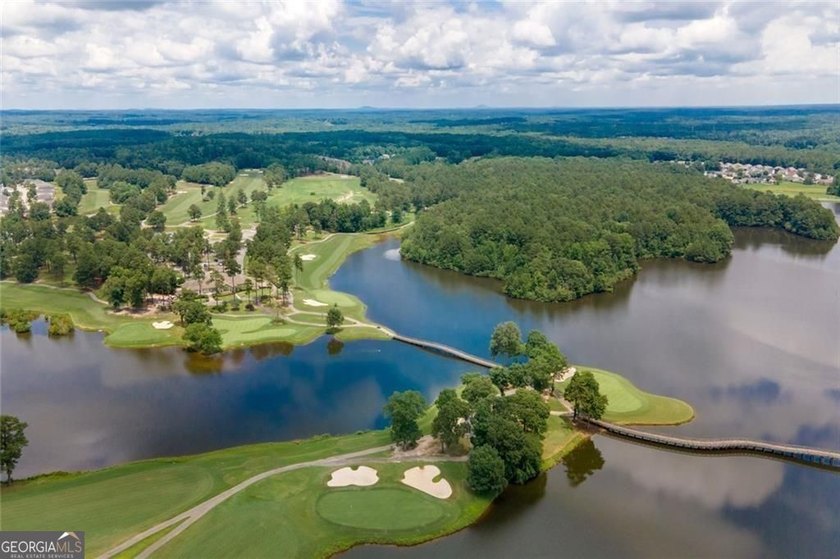 Welcome to 1011 Chestnut Creek Drive in the highly sought-after - photo 50