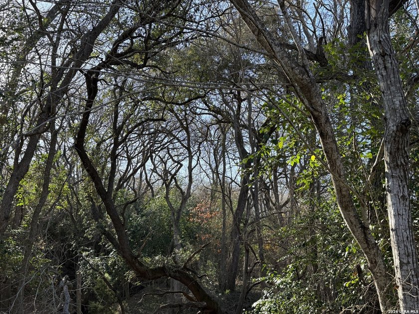 DEVELOPER'S DREAM! A total of 29.503 acres in the heart of - photo 12
