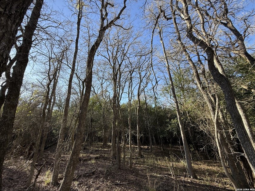 DEVELOPER'S DREAM! A total of 29.503 acres in the heart of - photo 22