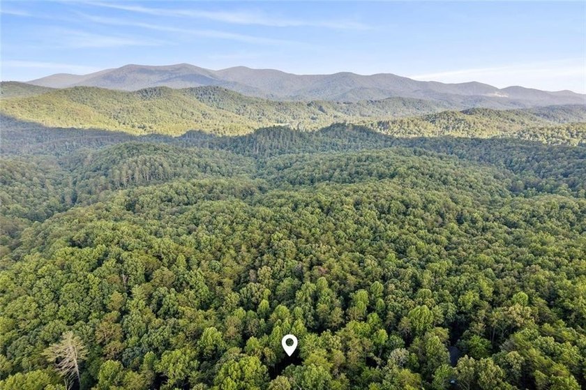 Tucked away in the desirable Cherry Lake community, this fully - photo 39