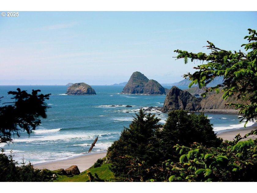 EXQUISITE PISTOL RIVER OCEAN VIEW ESTATE FOR THOSE WITH - photo 3